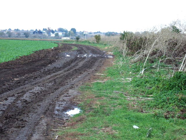 Land in Krapets, Shabla