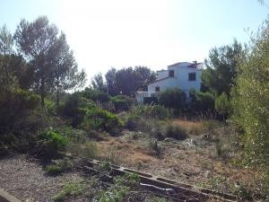Montferrutx, Colonia de San Pedro, plot.. - 2