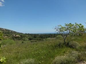 Son Macià, finca plot of about 60.250m2..