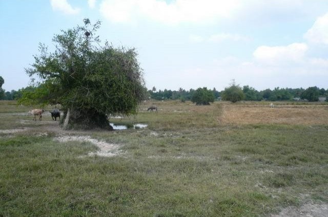 Land - For Sale - Na Jomtien + - EUR.. - 2