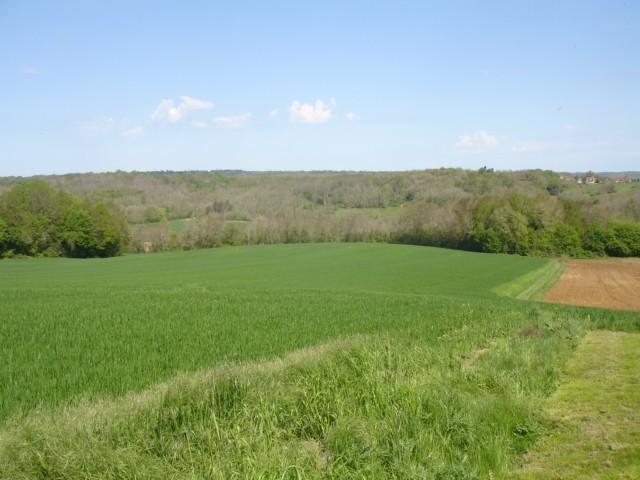 25152 - Vente - Terrain - Vergt - 2