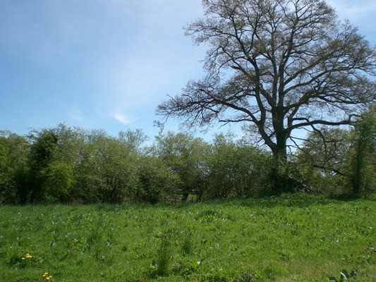 23 - Creuse