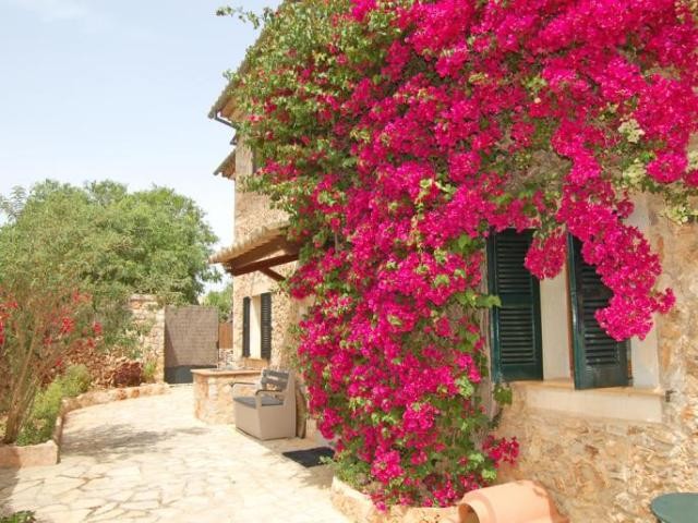 Beautiful country house near the..