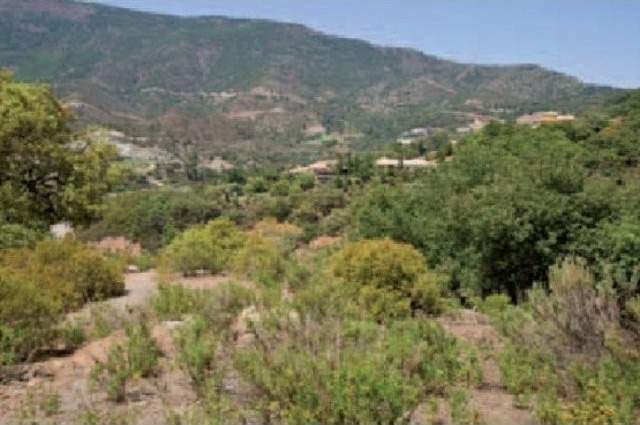 Stunning Golf Plot With Lake Views - 2