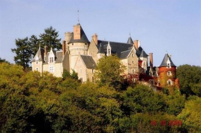 8 bedroom Castle For Sale: 86000 VIENNE - 2
