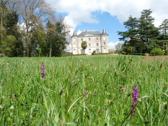 9 bedroom Castle For Sale: 16000.. - 2