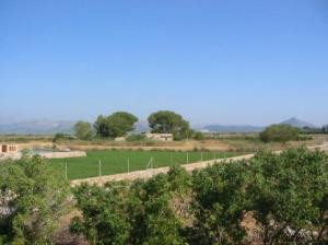 Finca near Ca'n Picafort - 2