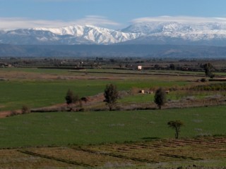 4Ha plot of Titled Land of 1ha plots -..