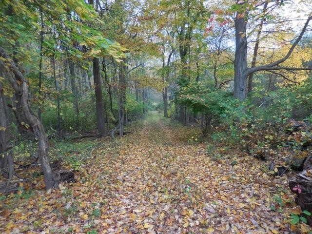 Land For Sale: Pound Ridge, New York