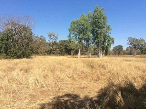 Land For Sale Prathai Nakhon Ratchasima..