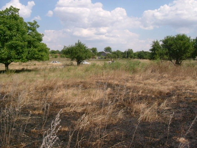 Land in Bdintsi, Dobrich