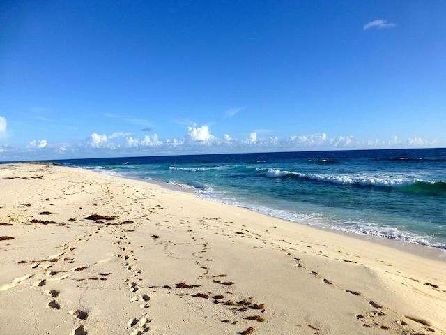 Singlefamilyvacant - This corner lot is..