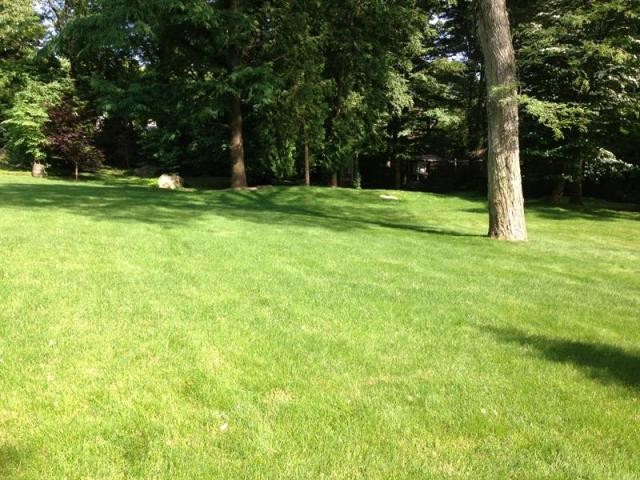 Land For Sale: Scarsdale, New York - 2