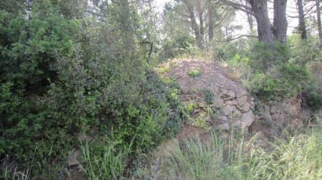 PLOT VERY NEAR THE CENTER OF BEGUR - 2