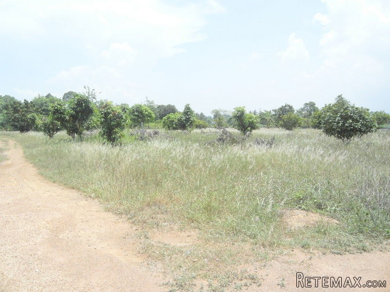 12 Rai plot of land in Pong, 3 min...