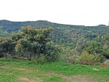 Crete Bargain Property - 2