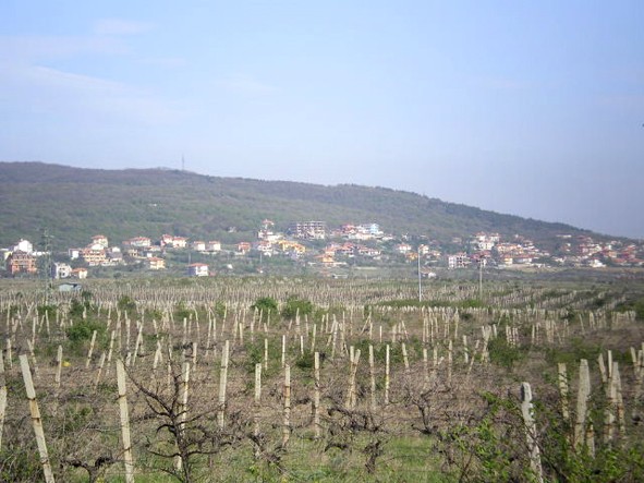 Land for sale in Sunny Beach - 2