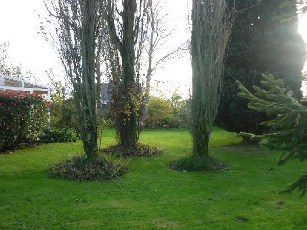 Delightfully Traditioinal French House - 2