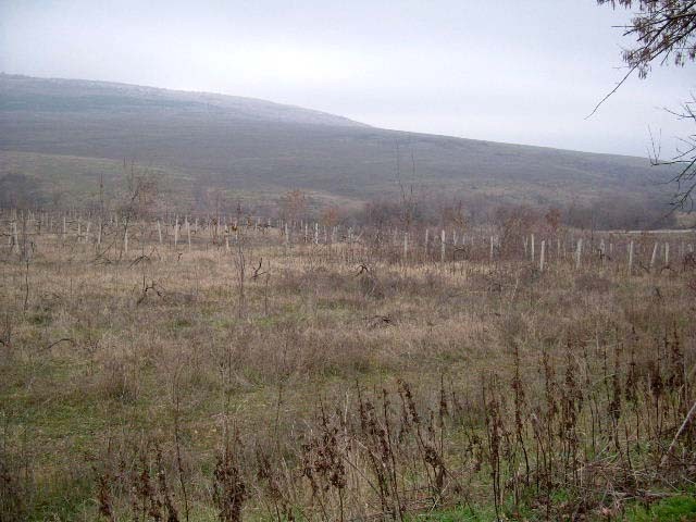 Land for sale in Kantardjievo, Albena - 2