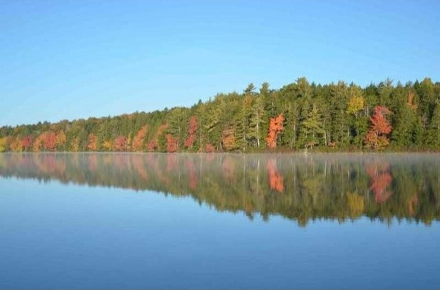 Land For Sale: Lot Porcupine Lake.. - 2