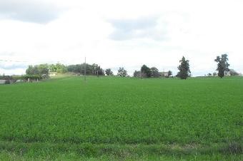 DORDOGNE land a batir of 2500 m2 - 2