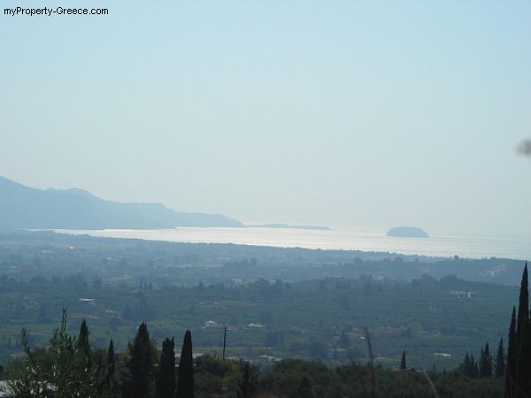 Lagopodo_12