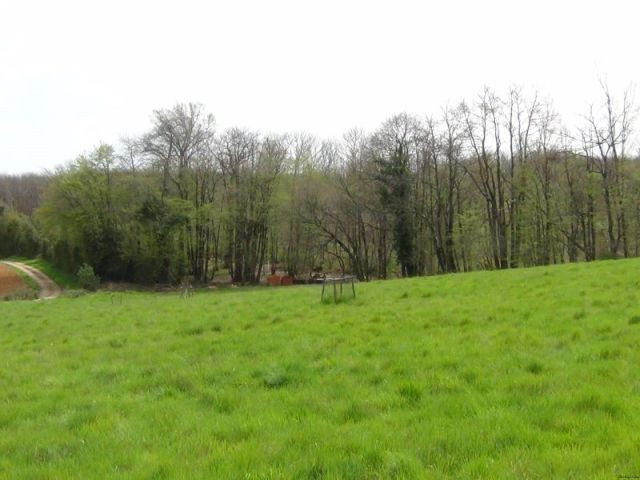 Large Building Plot - 2