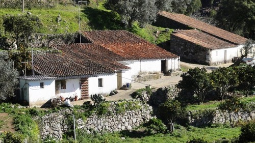 Rustic property on huge plot over.. - 2