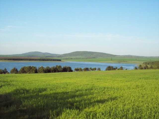 Lakeside Land