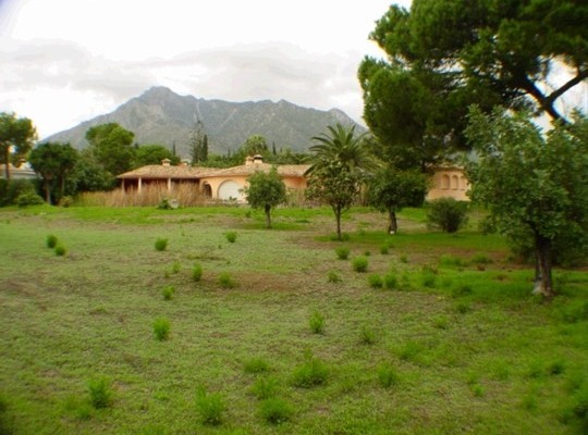 Building Plot for sale in Rocio de..