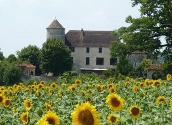 Castle With Private 9 Hole Golf Course..