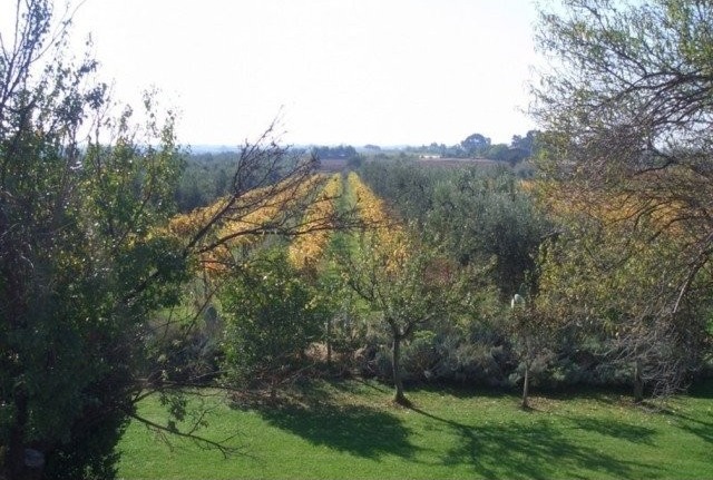 CAPALBIO FARMHOUSE