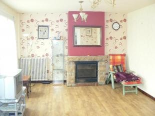 Spacious House with Basement - 2
