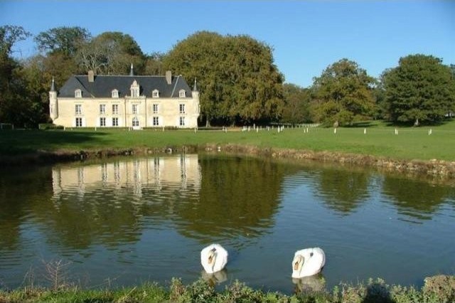 12 bedroom Castle For Sale: 72260 LE..