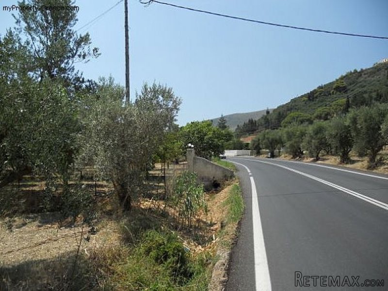 Land in Pantokratoras, Zakynthos - 2