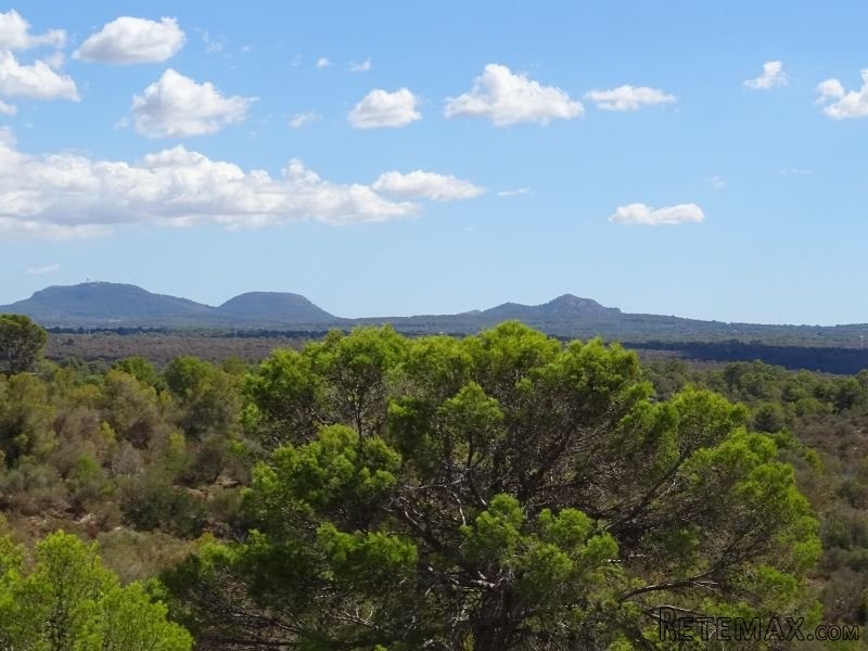 Plot 8,860 M2 En Mallorca , Es Puntiro