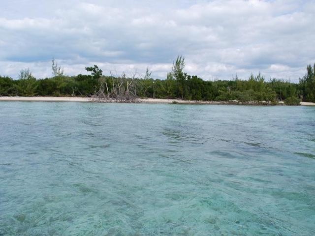 Singlefamilyvacant - This Sea to Sea.. - 2
