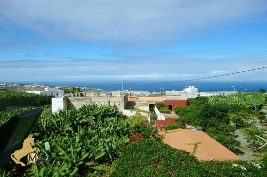 Finca, country property for sale Arucas..
