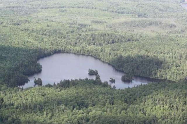 Land For Sale: Lot Porcupine Lake..