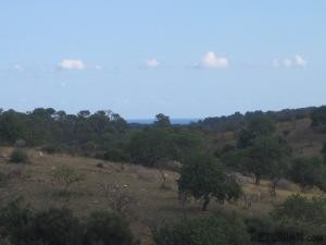 San Llorenç des Cardassar - Artà, finca.. - 2