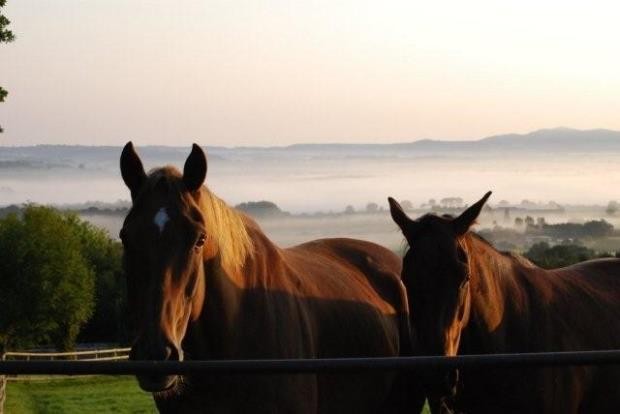 Stone Farm, Broadwas, Worcester..
