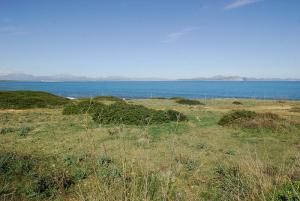 Colonia de San Pedro, urban plots in..