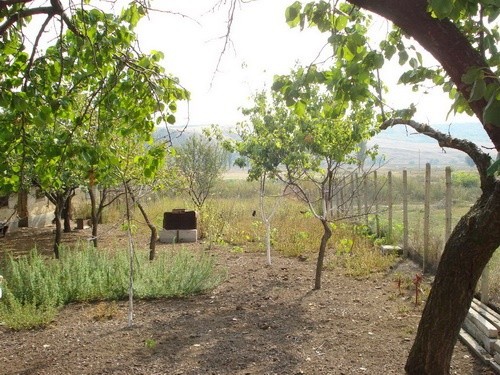 Regulated plot of land, 10 km from.. - 2