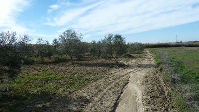 Land - Awaiting further details for..