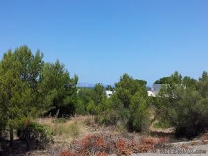 Montferrutx, Colonia de San Pedro, plot..