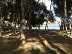 Property, Mallorca, apartment with sea..