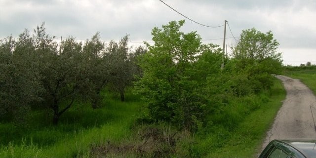 Land Terra del Barone, italian property..