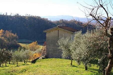 Small rustic house on a beautiful..