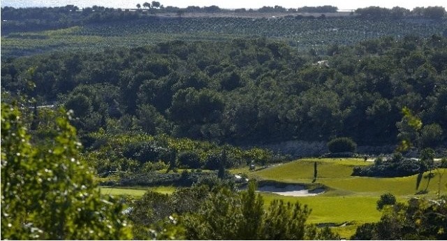 Plots for sale in Campoamor