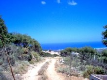 Crete Investment Property For Sale - 2